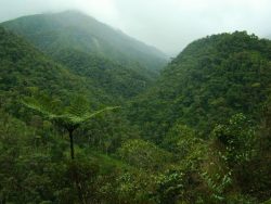 cordillera colan